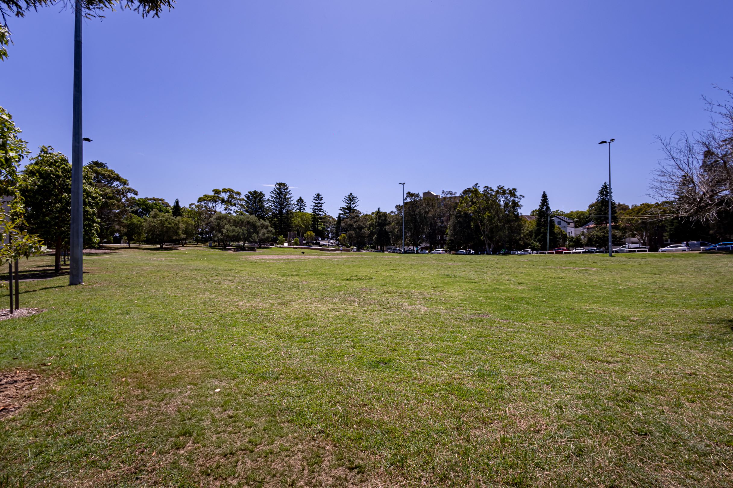 Barracluff Park Sportsfield Details | Bookable Waverley Council