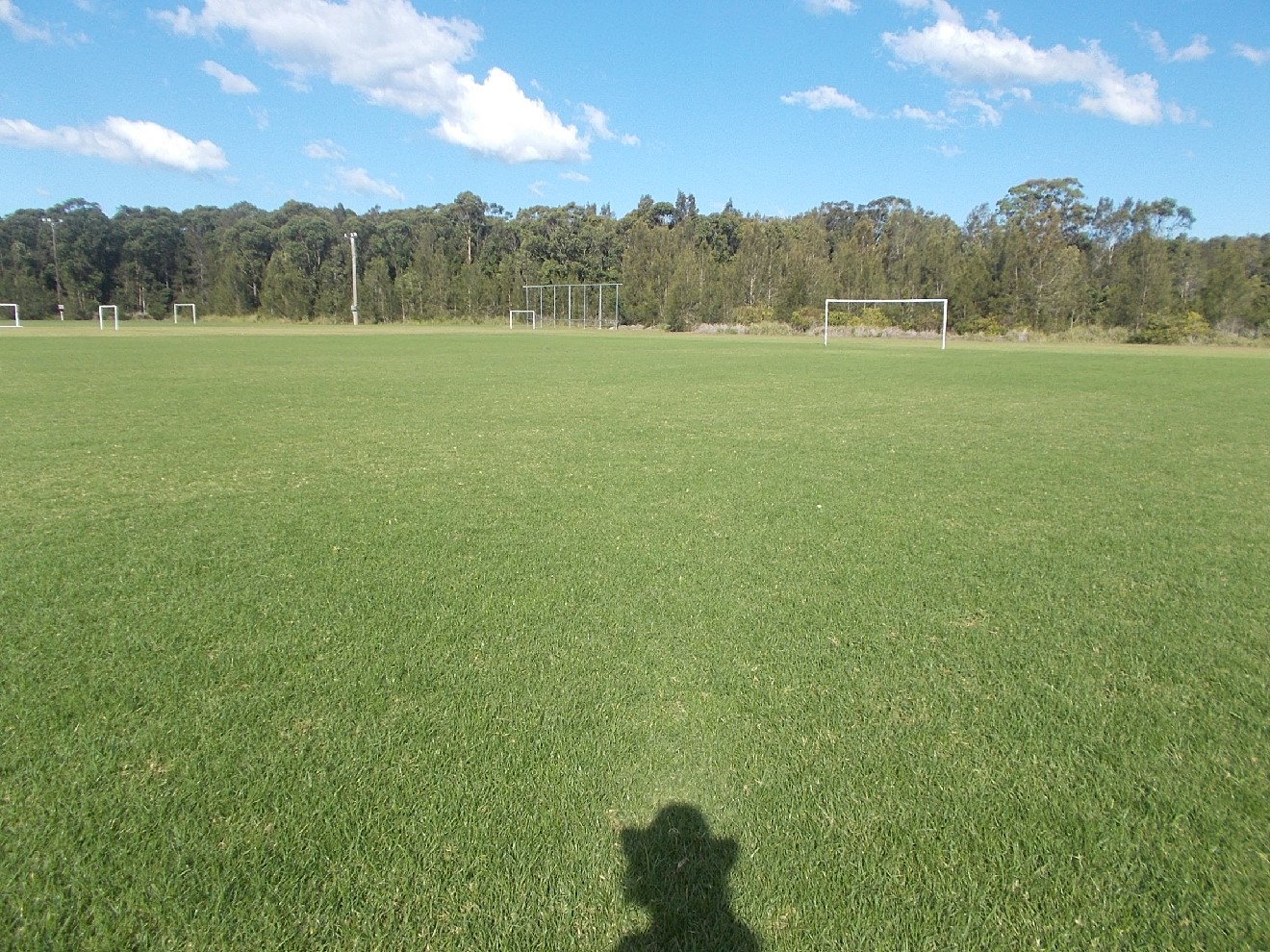 EG Trad Sportsground Details | Bookable MidCoast Council