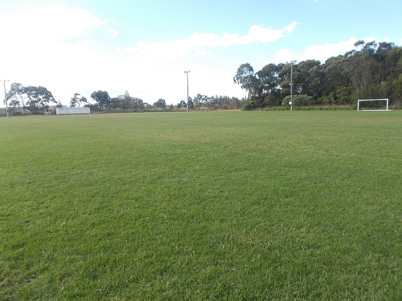 EG Trad Sportsground Details | Bookable MidCoast Council